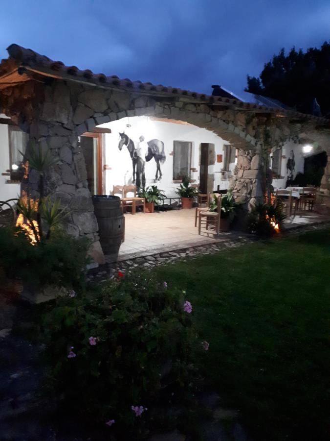 Affittcamere Jannas Orgosolo Exterior photo